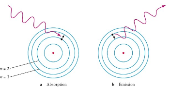 <p><span style="font-family: Arial, sans-serif">What is it called when electrons within an atom release energy and return to the grounded state (n=3 to n=2)?</span></p>