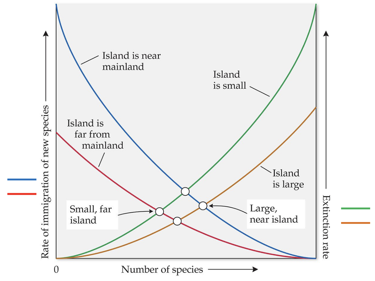 <p>Determine the Graph:</p>