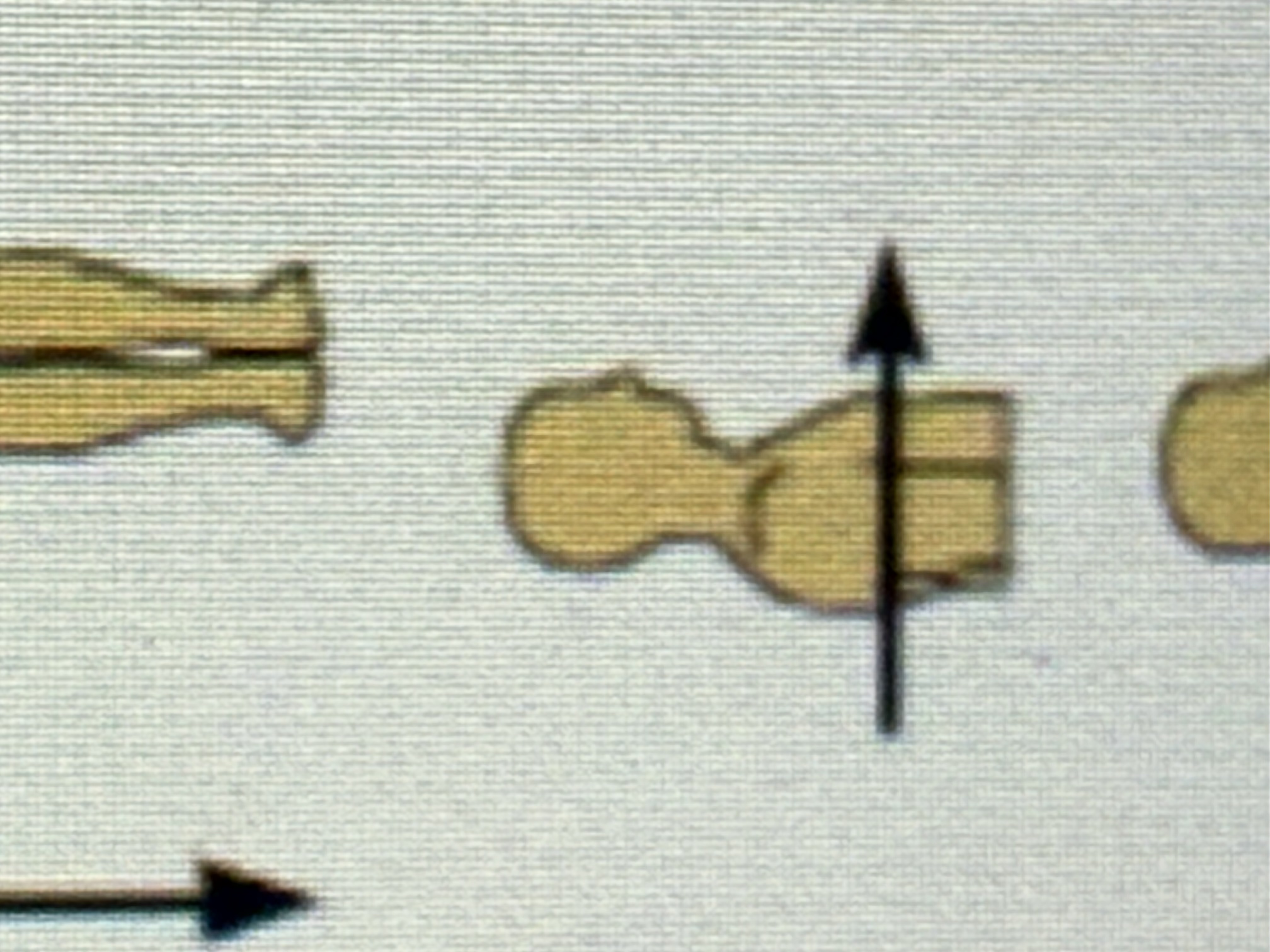 <p>Toward the front of the body; in front of.</p>