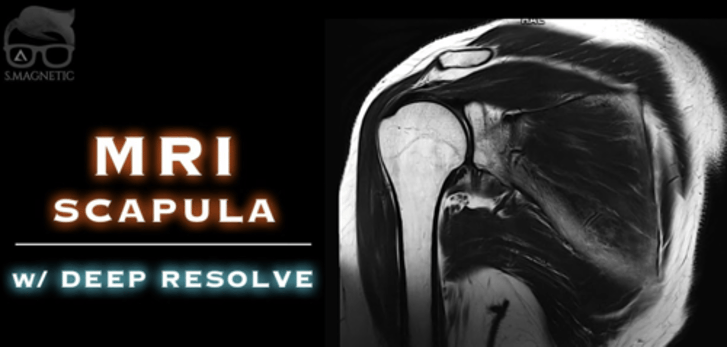 <p>MRI can study the scapula but provides images that are not as anatomically detailed as those obtained from CT imaging.</p>