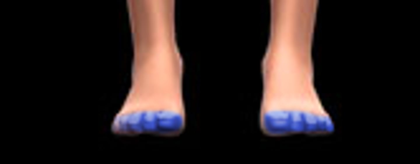 <p>toes. phalanges (14x2)</p>