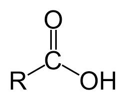 <p>carboxyl group (carbon oxygen double bond and -OH)</p>