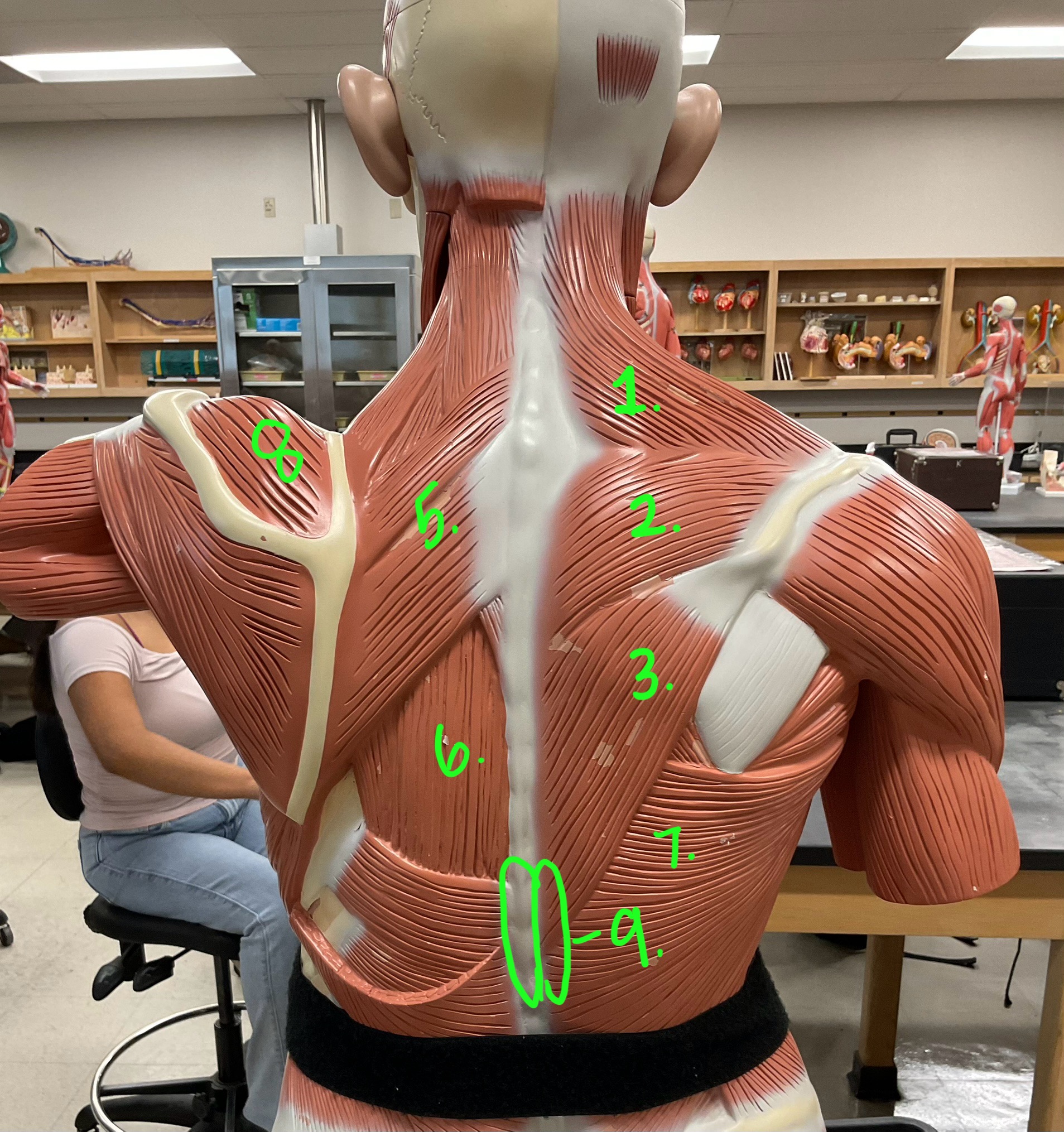 <p>#2</p>
