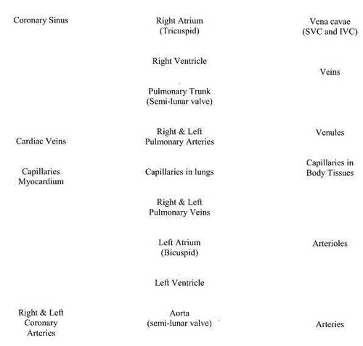 <p>Right atrium → tricuspid valve → right ventricle → pulmonary SL valve → pulmonary trunk → pulmonary arteries → capillaries in lungs → pulmonary veins → left atrium → bicuspid valve → left ventricle → aortic SL valve → ascending aorta.</p>