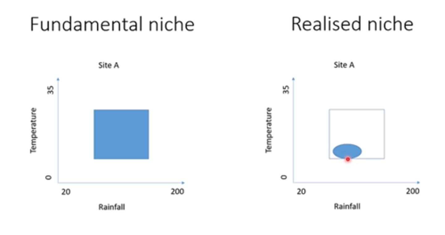 <p>set of environmental parameters within which a species can survive</p>