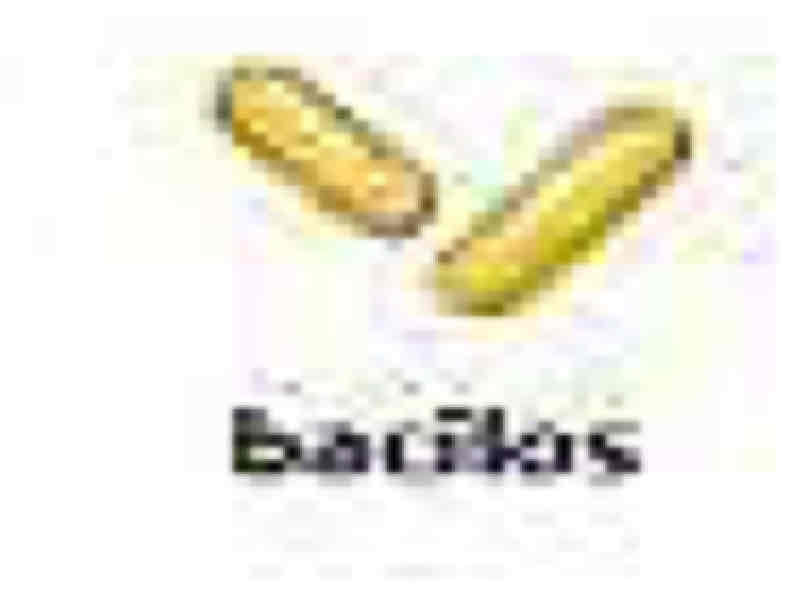 <p>Bacilos</p>