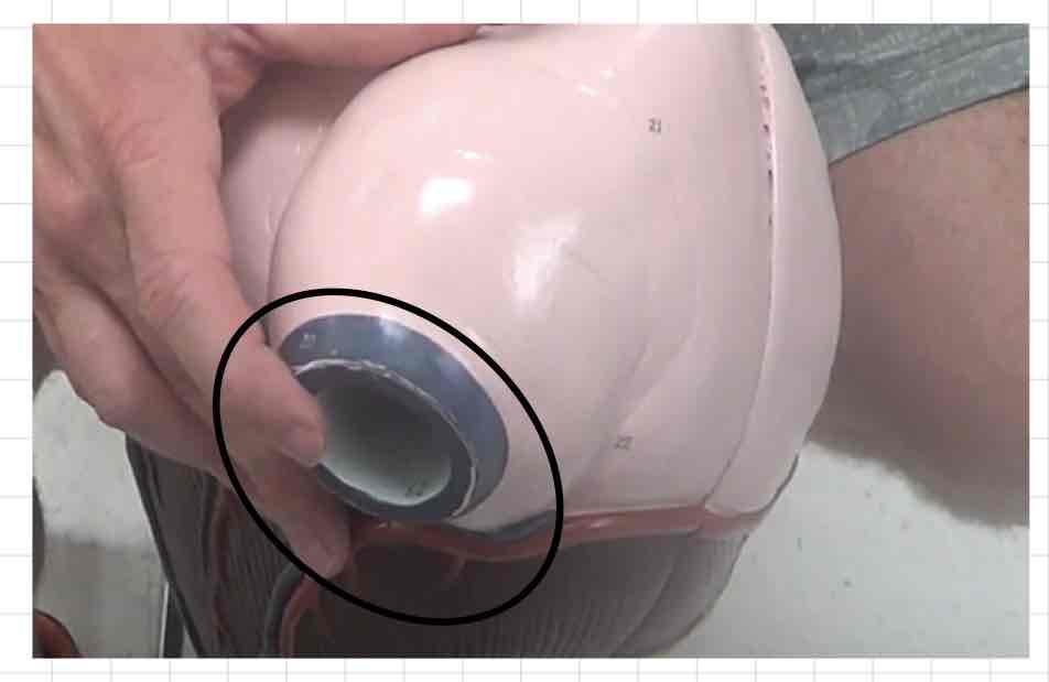 <p>what is this? (giant heart model)</p>