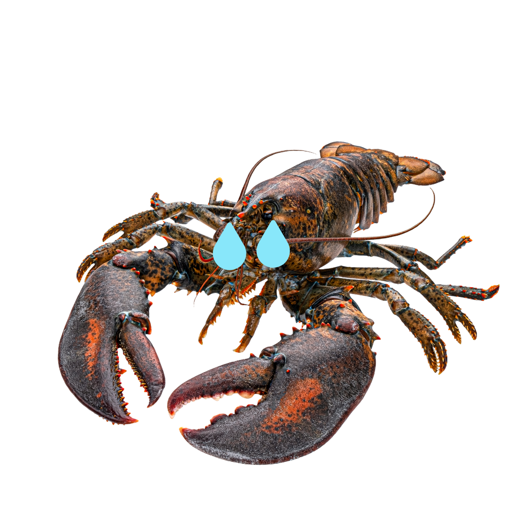 <p><strong>かい 貝</strong></p><p><span style="color: rgb(169, 169, 169);"><span>Kanji:</span></span></p><p><span style="color: rgb(169, 169, 169);"><span>貝 Shellfish</span></span></p>