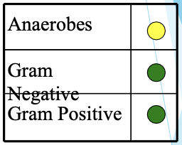 <ul><li><p>Uses</p><ul><li><p>G-, G+ (no MRSA or enterococcus)</p></li><li><p>anti-pseudomonal activity</p></li><li><p>some anaerobic activity</p></li></ul></li><li><p>FDA approved indications</p><ul><li><p>complicated intra-abdominal infections</p></li><li><p>complicated UTIs</p></li></ul></li></ul><p></p>