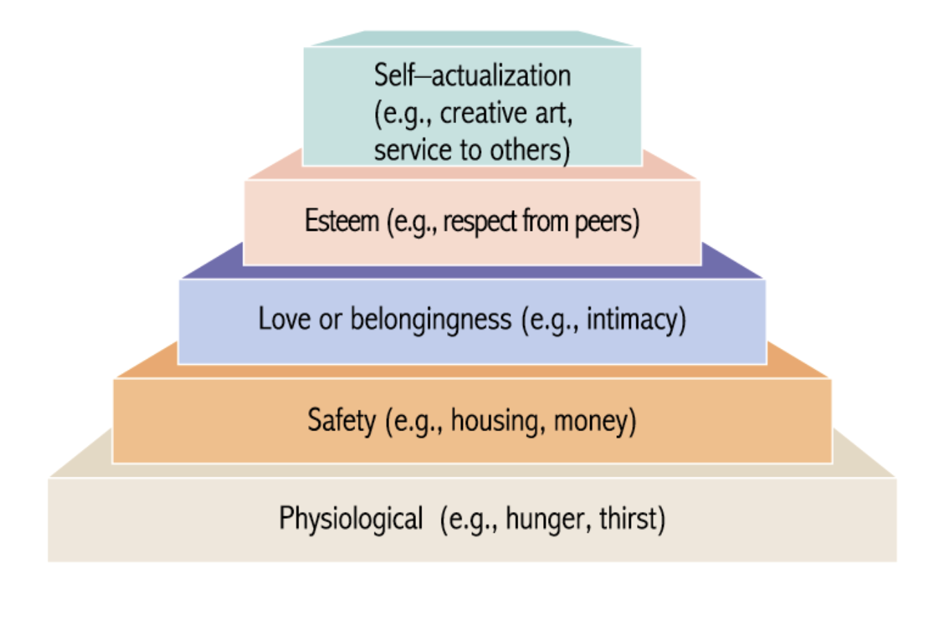 <p>Self actualization (e.g, creative art, service to others)</p><ul><li><p><span>Context dependent; the idea of people who are self actualized are authentic and genuine, they are who they are if you like it that’s great if you don’t then that sucks.</span></p></li></ul><p>Esteem (e.g, respect from peers)</p><p><span>Fear of failure, fear of being embarrassed and fear of what others think of me. Which relates back to anxiety which is the number one reason for the most common deaths which are due to stroke, heart attacks or general heart failure.</span></p><p>Love or belongingness (e.g, intimacy)</p><ul><li><p>People was to belong with other people, feels of loneliness as a motivator for why people may do certain things such as building relationships or going to social outings so they would be able to build such relationships.</p></li></ul><p>Safety (e.g, housing, money)</p><p>Physiological (e.g, hunger, thirst)</p><p></p><p>One note: Is that all these needs are reasons for why people commit crimes.</p><p></p>