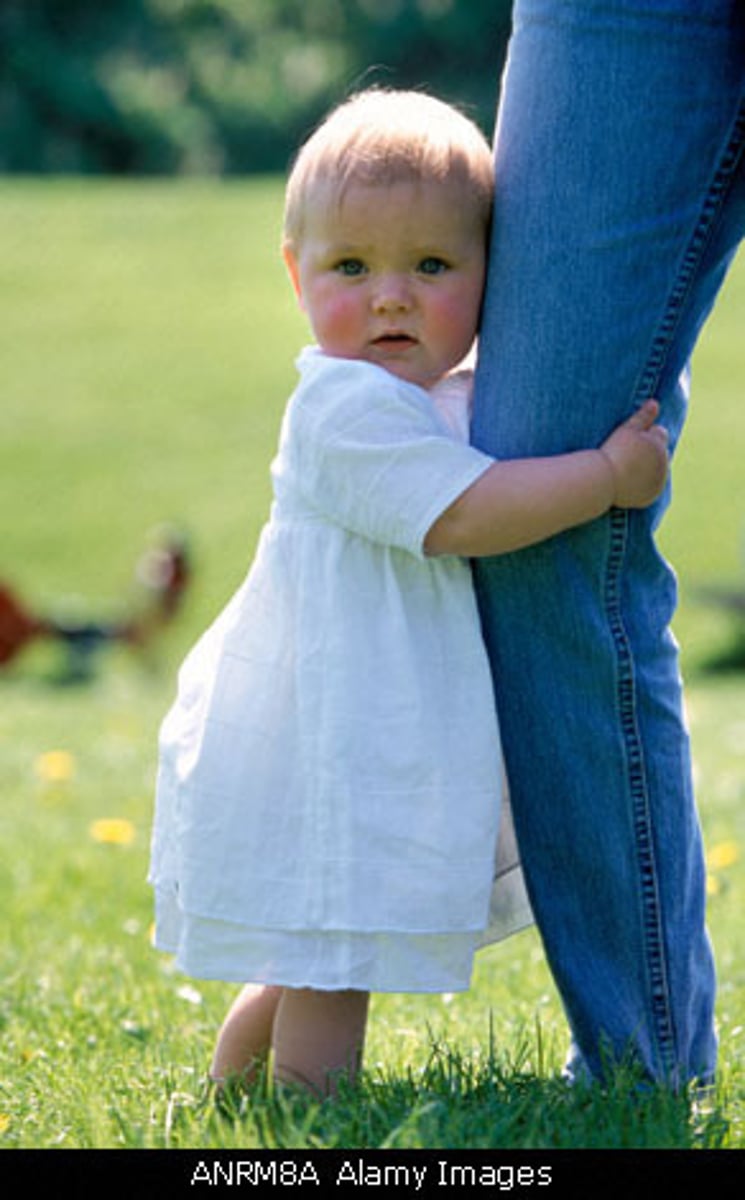 <p>cling</p>