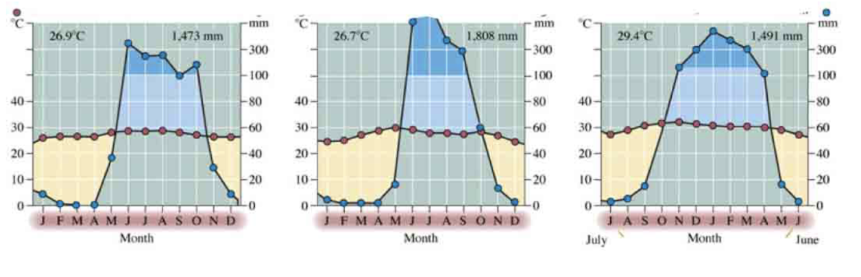 <p>What characteristic of these climate diagrams is a big clue in answering the above question?</p><p>A. Low rainfall throughout the year</p><p>B. High temperatures</p><p>C. Little variation in rainfall</p><p>D. Distinct wet and dry seasons</p><p>E. None of the above</p>