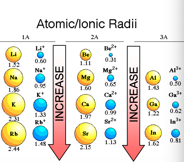 <p>Going from top to bottom in a group, the size of cations with the same CHARGE becomes LARGER, following the same trend as atom sizes </p>