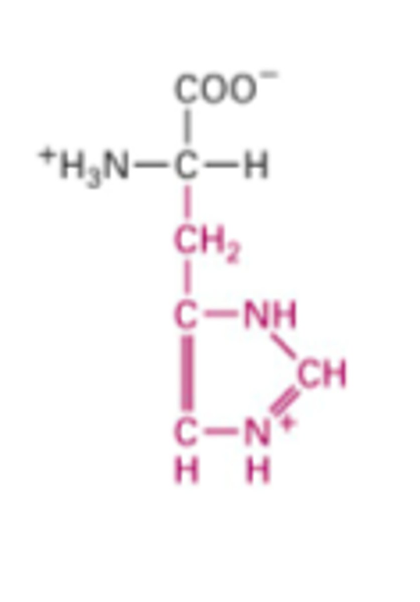 <p>What Structure is this?</p>