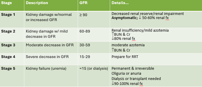 
1. Kidney damage w/normal or increased GFR

   
   1. GFR ≥90