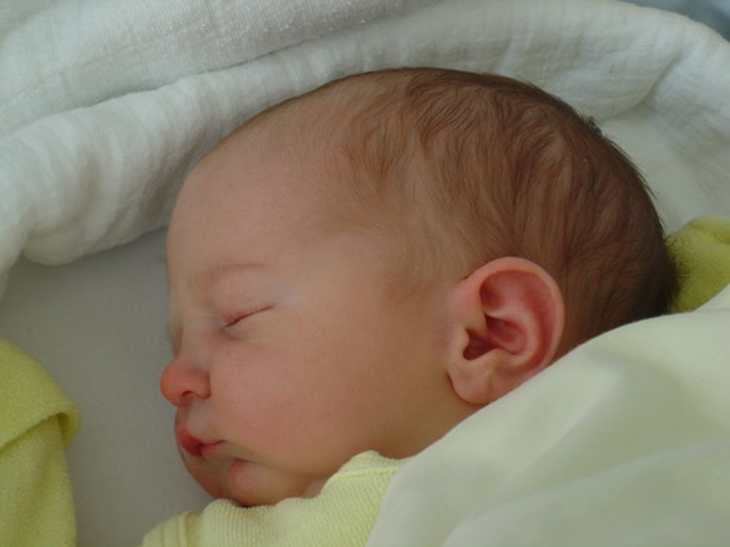 <p>baby</p>