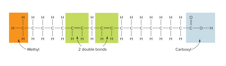 <p>at least 2 double bonds in the chain; hydrogens missing at these double bonds</p>