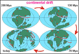 <p>the hypothesis that the continents slowly move across Earth&apos;s surface</p>