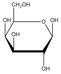 <p></p><ol><li><p>carbohydrate</p></li></ol><p></p>