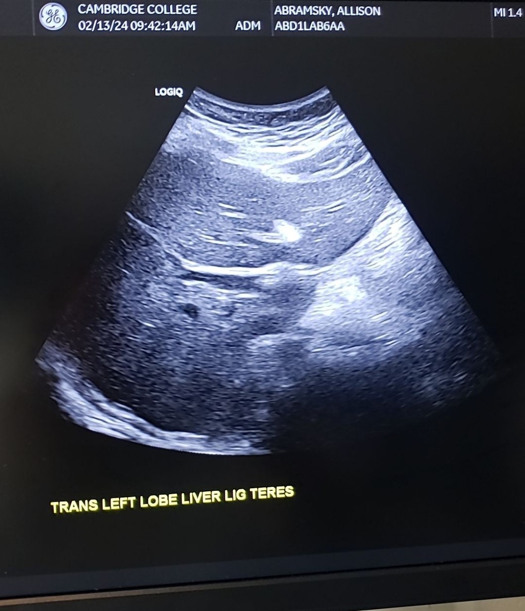 term image