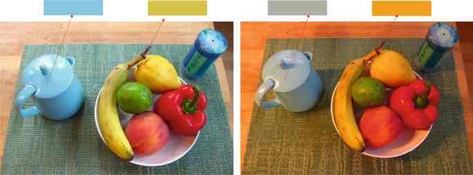 <p>Color Constancy </p>