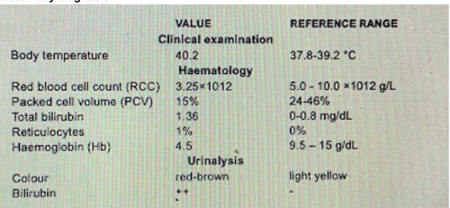 <p>A farmer moved his cattle herd to a rented pasture in county sligo in late spring. He had a total of 43 cattle ranging from 2-4 years old. Two weeks after introduction onto the property several of the animal developed decreased appetite with general weakness and lethargy. Key diagnostic findings are listed in he table, what is the most likely diagnosis ?</p>