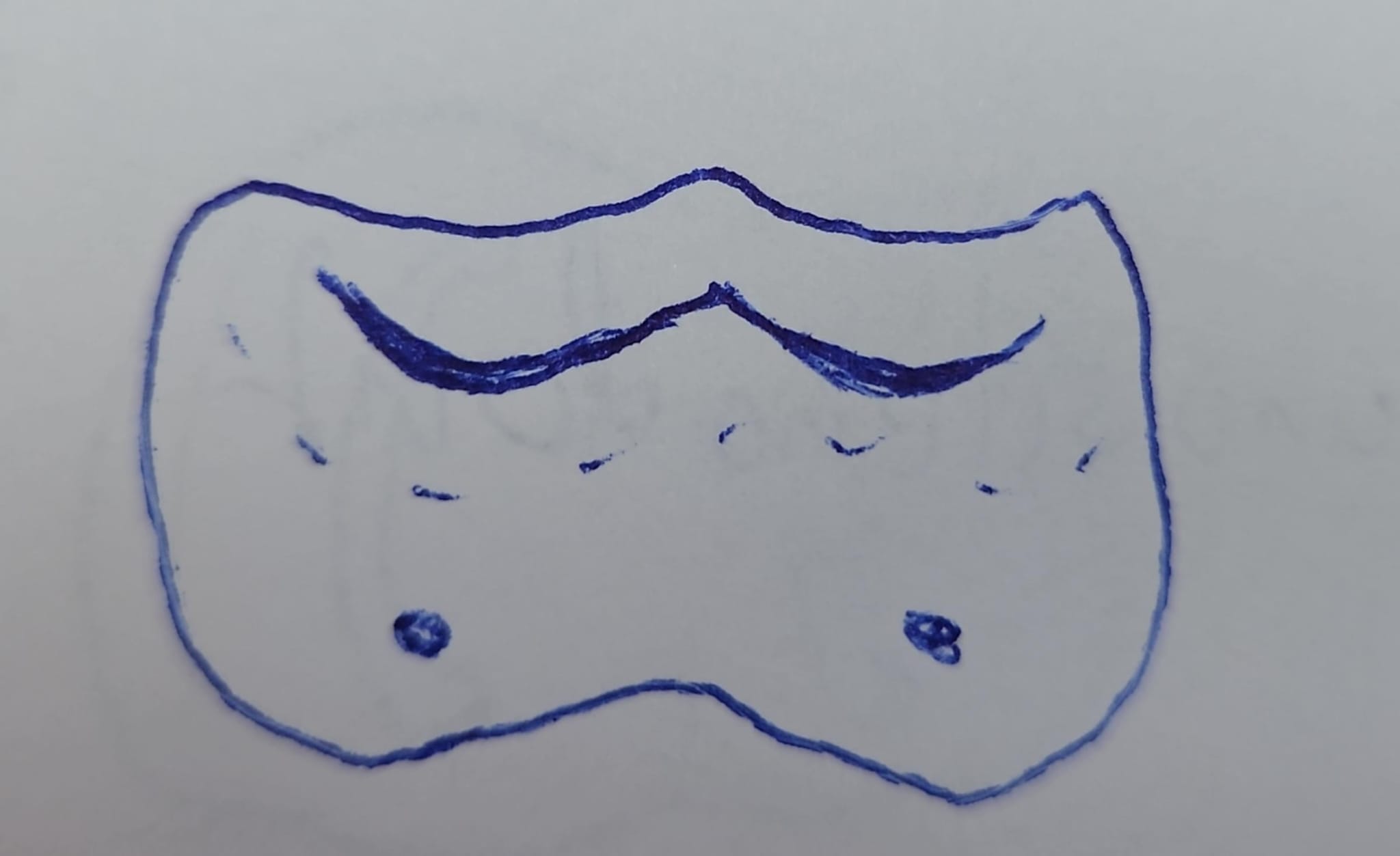 knowt flashcard image