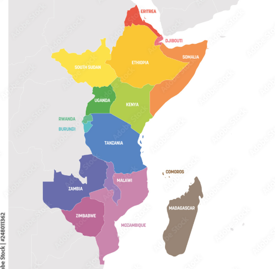 <p>Horn of Africa, Trade with India and Arabia, Swahili language</p>