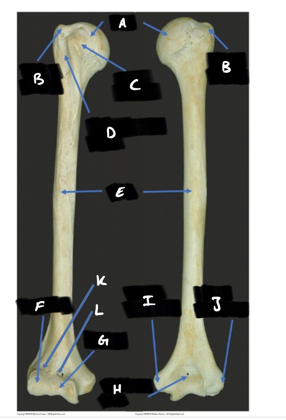 <p>J</p>