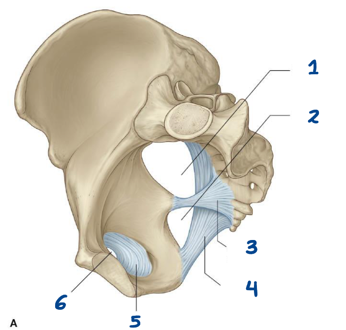 <p>What is structure 4?</p>