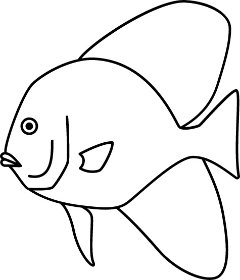 <p>Disk-like body<br>Juveniles: enlarged fins<br>Size: 50 cm</p>