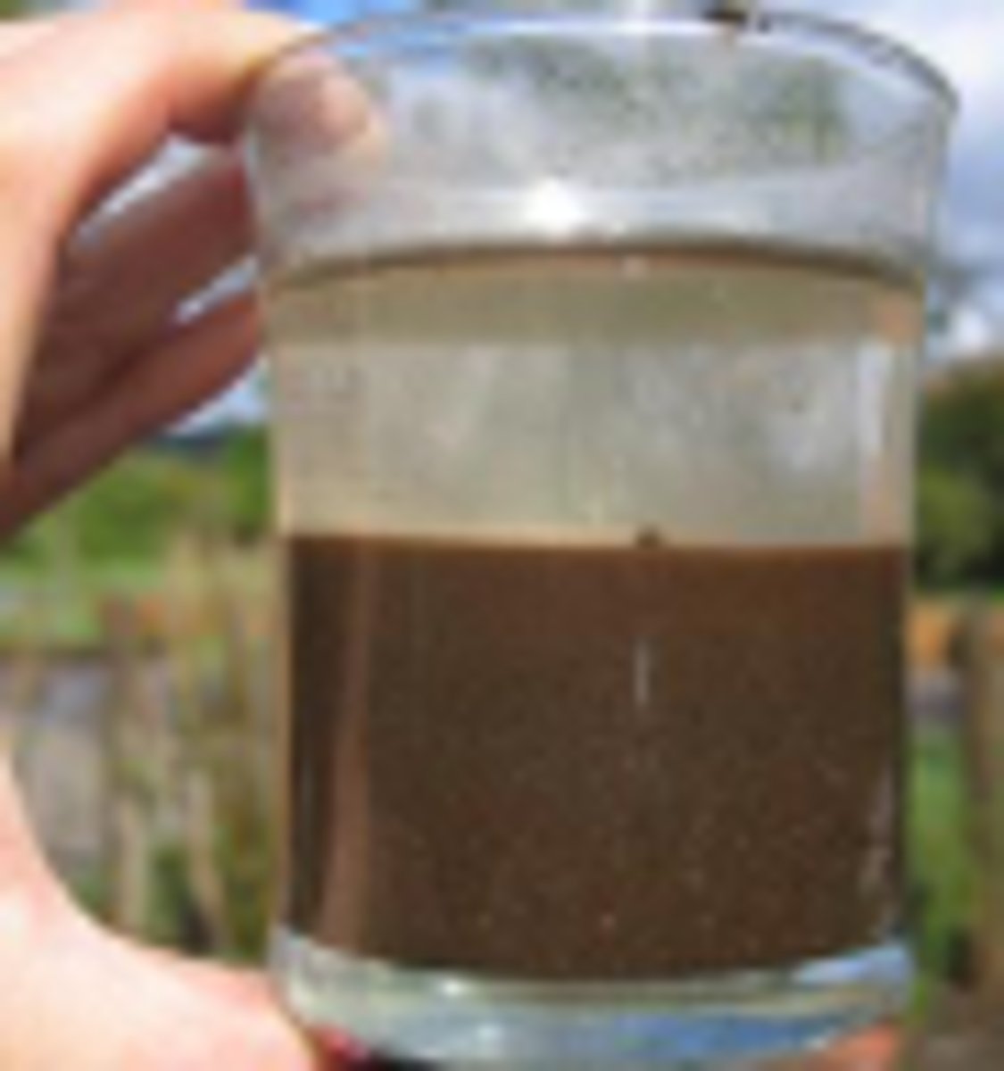 <p>The <strong>solid particles are spread throughout the liquid</strong> without dissolving in it</p>