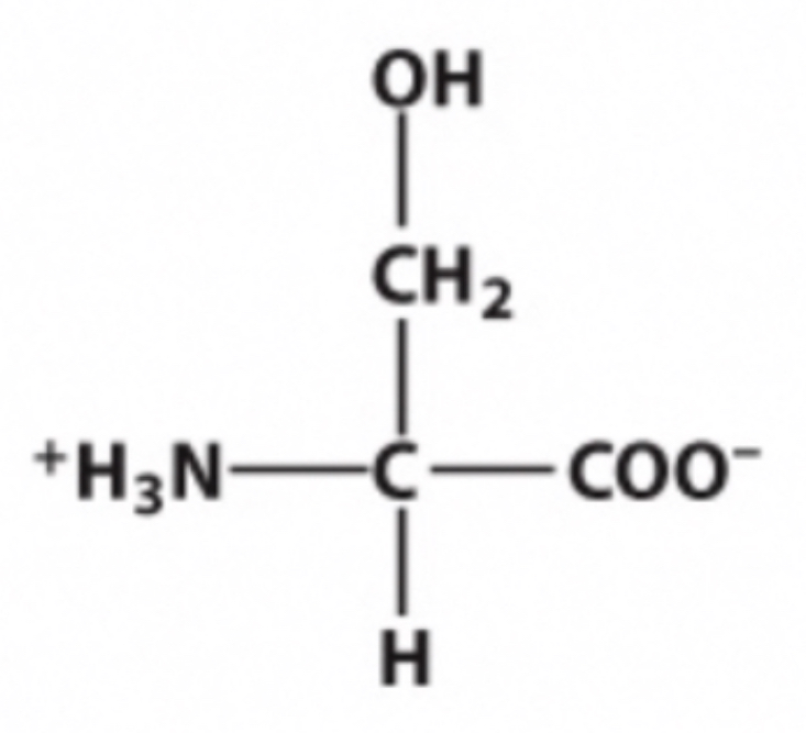 <p>Identify this amino acid. </p>