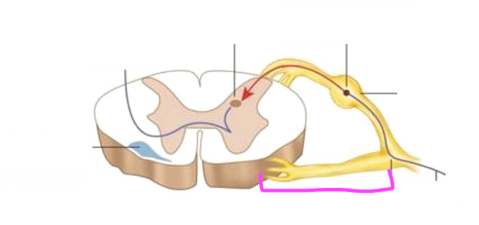 <p>What is this feature?</p>