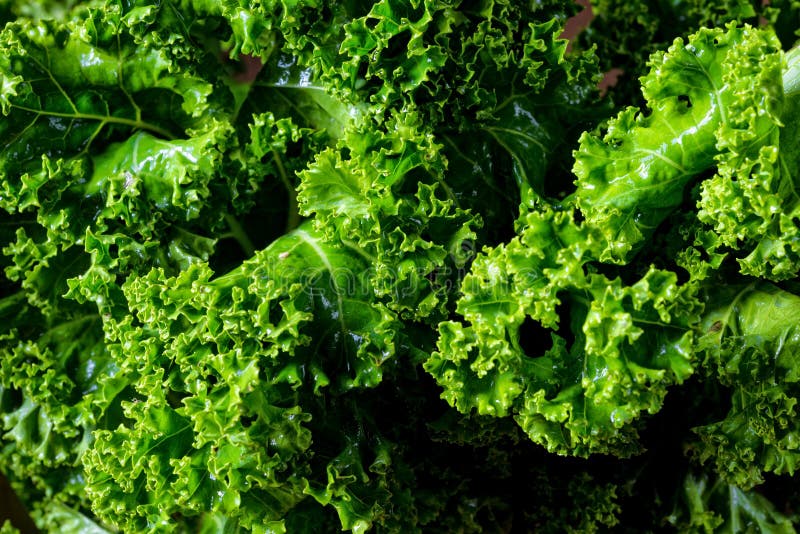 <p>Kale</p>