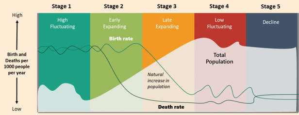 <p>The theory that as a country moves from a subsistence economy to industrialization and increased affluence it undergoes a predictable shift in population growth.</p>