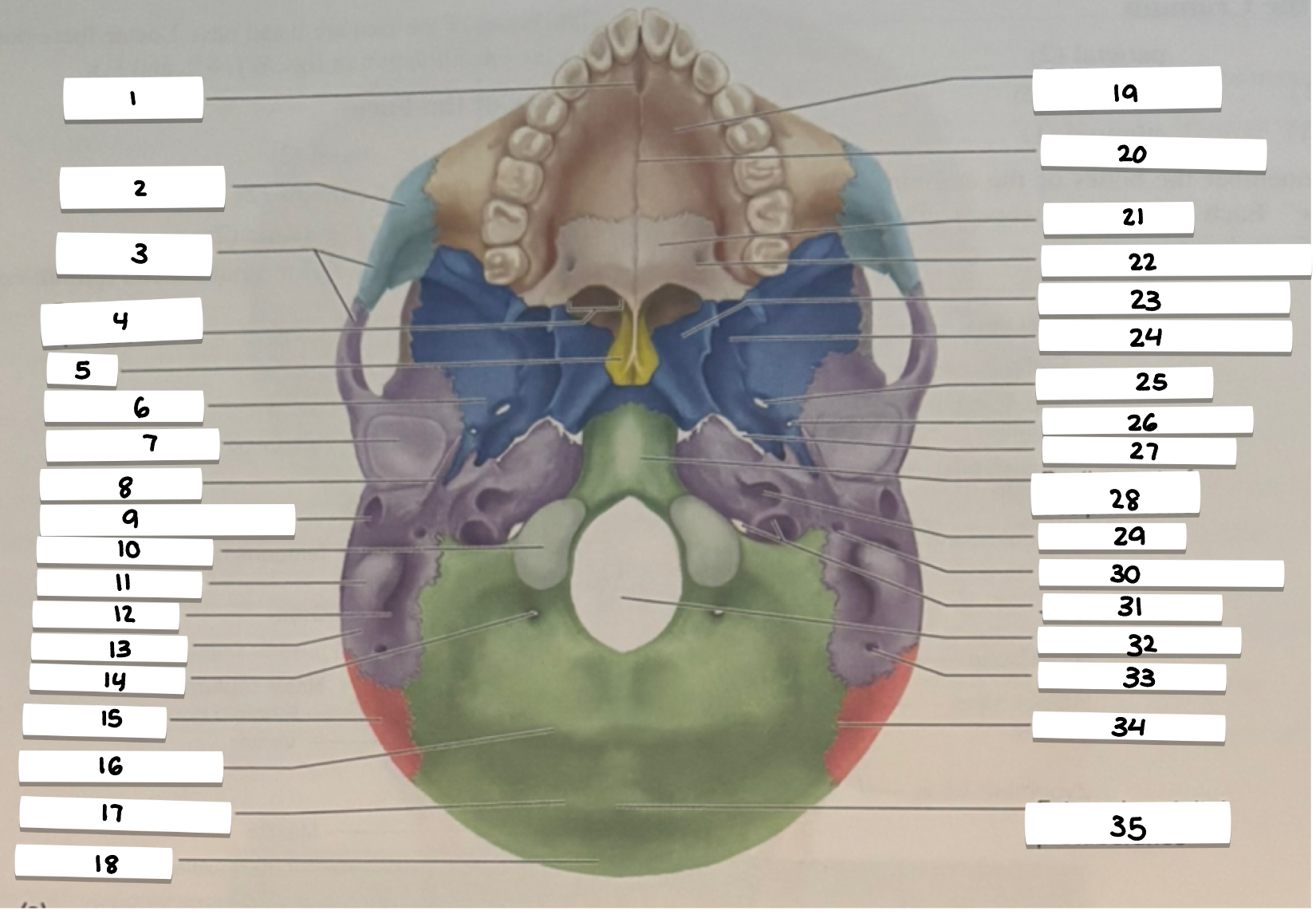 <p>16</p>