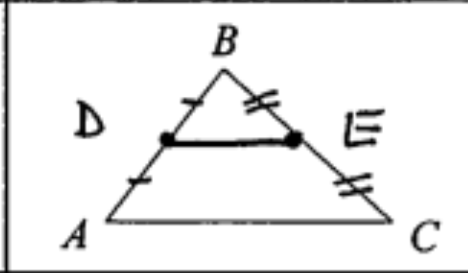 <p>Midsegment</p>