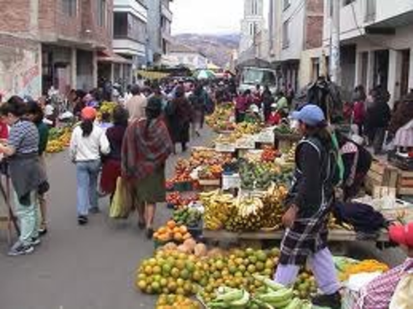 <p>a market</p>