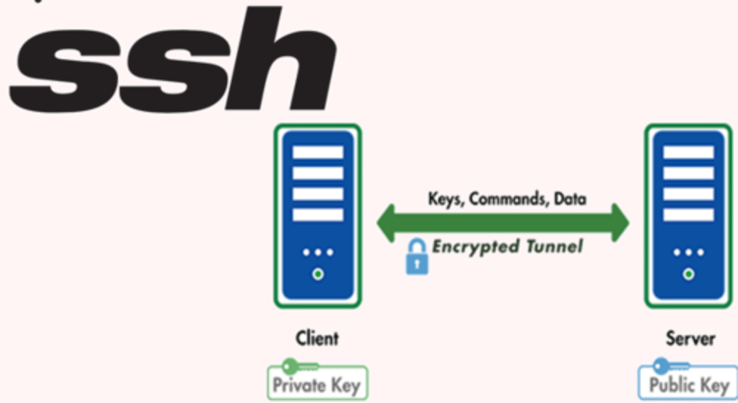 <p>TCP port 22​</p><p>Uses strong encryption​</p><p>Sets up a secure Telnet session over a standard TCP/IP connection and is employed for doing things like logging into other systems, running programs on remote systems, and moving files from one system to another​</p>