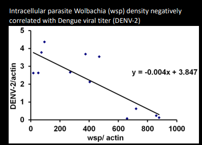 <p>Explain this graph</p>
