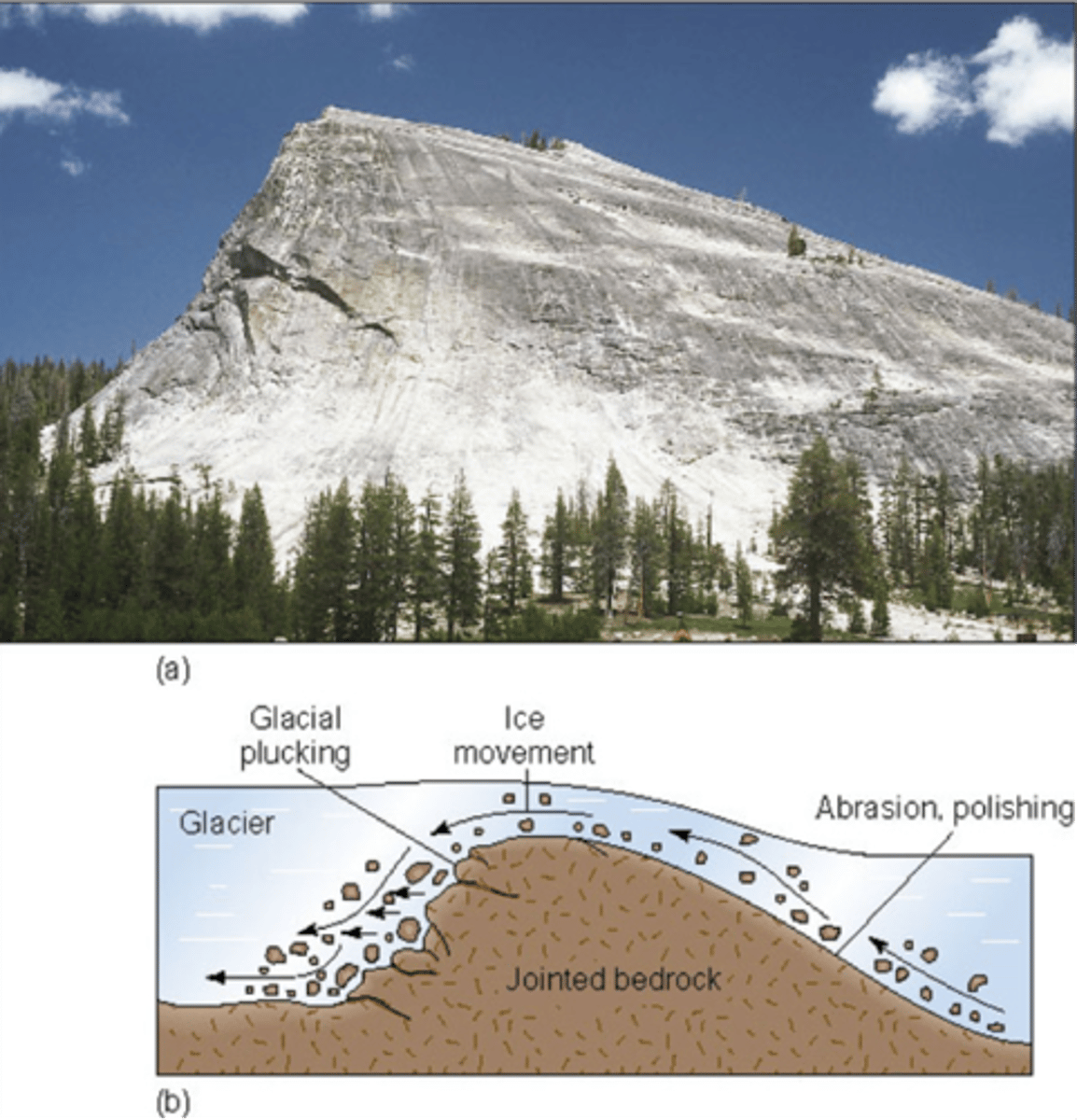 <p>Ice flows over the valley, eroding less resistant rock. Stoss side becomes smoothed by abrasion as glacier goes over it, lee side becomes rough and steep where plucking occurs.</p>