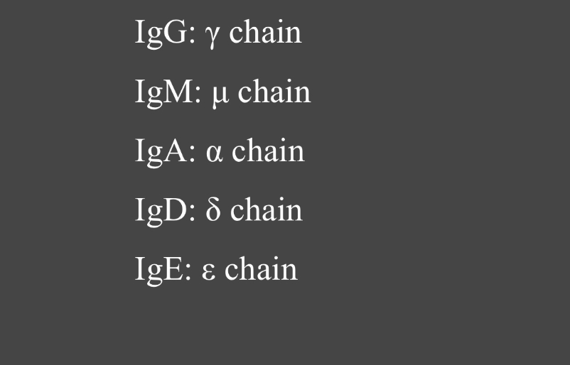 <p>Match the immunoglobulin type to their heavy chain </p>