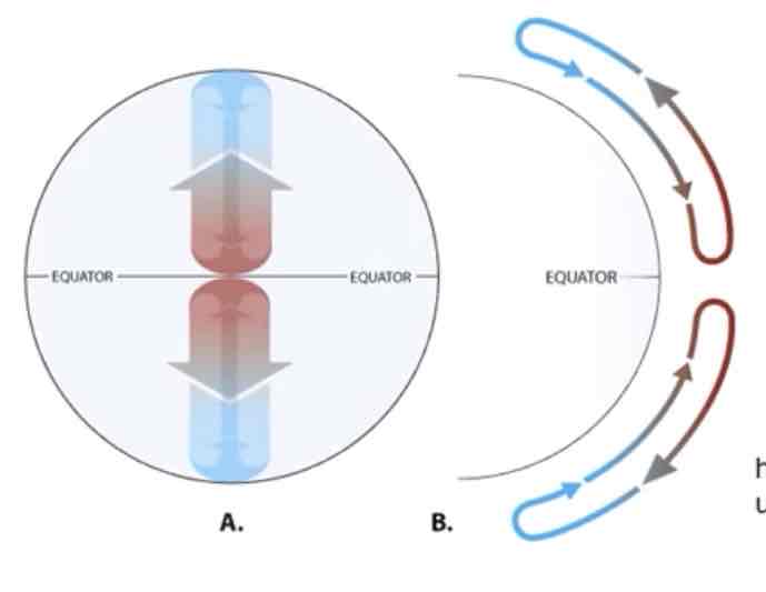 <p><span>The diagram shown here shows how air would move if the Earth did not spin on its axis. This diagram lacks the _____?</span></p>