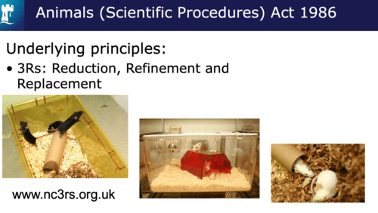 <p>Use the absolute least number of animals necessary to achieve research goals.</p>