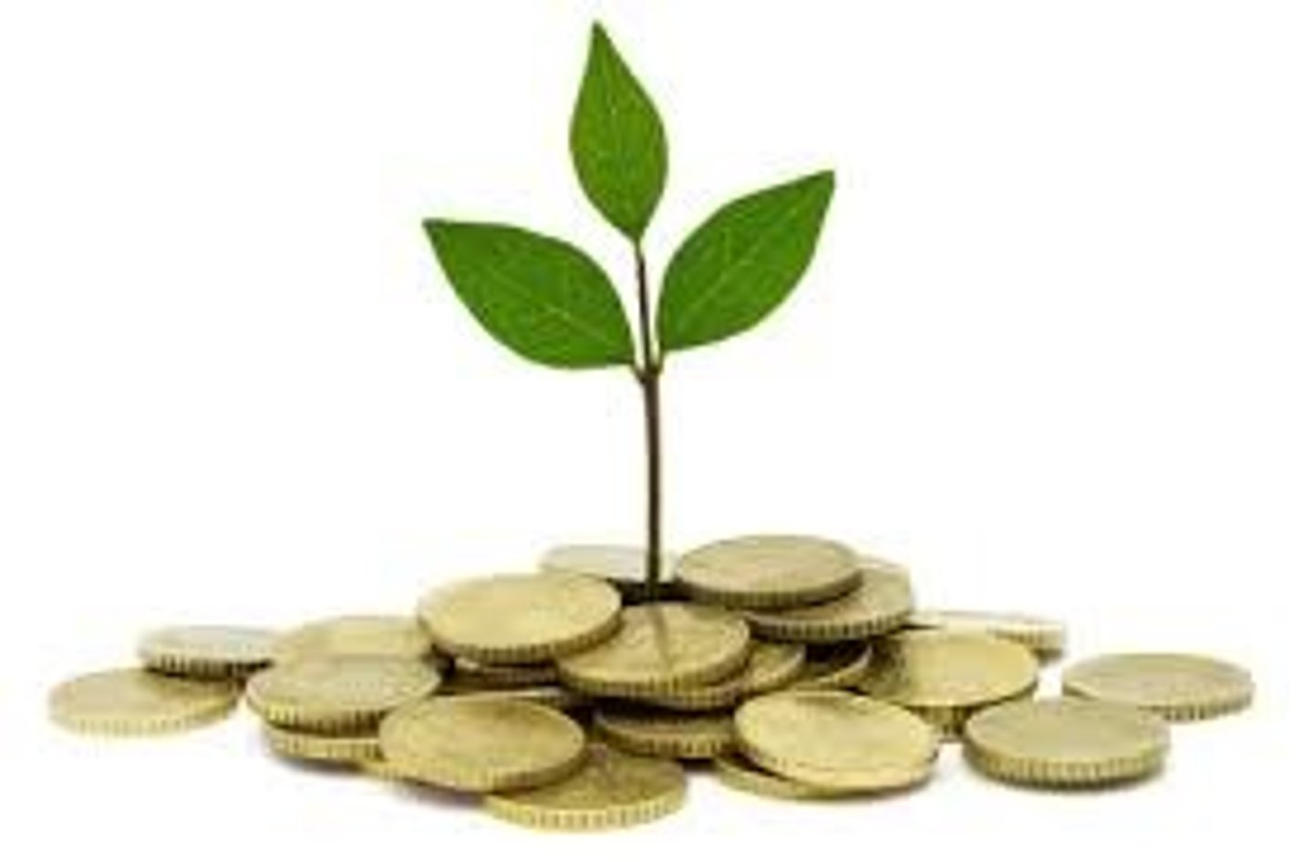 <p>gastar $1 para ganar $100</p>