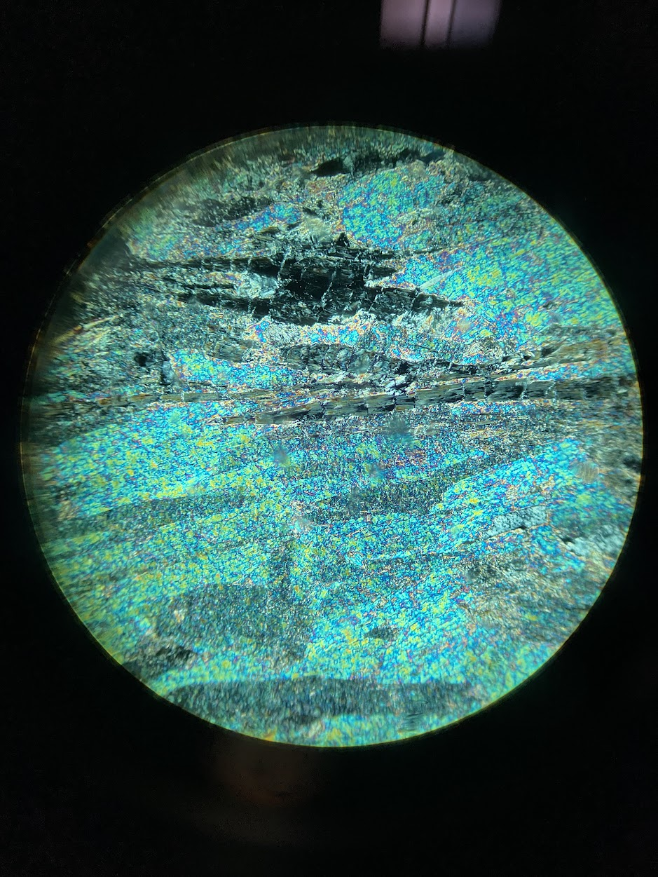term image