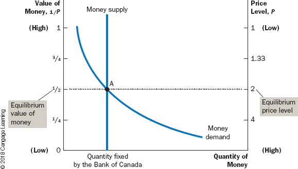 <ul><li><p>Horizontal axis shows quantity of money</p></li><li><p>Left vertical shows the value of money 1/p</p></li><li><p>right vertical shows the price level P</p><ul><li><p>Top, low level</p></li><li><p>Bottom, high level</p></li></ul></li><li><p>When the value of money is high (as shown near the top of the left axis), the price level is low (as shown near the top of the right axis).</p></li><li><p>The supply curve is vertical because the Bank of Canada has fixed the quantity of money available.</p></li><li><p>The demand curve for money is downward sloping, indicating that when the value of money is low (and the price level is high), people demand a larger quantity of it to buy goods and services.</p></li><li><p>Equlibirum determines the value of money and the price level</p></li></ul>