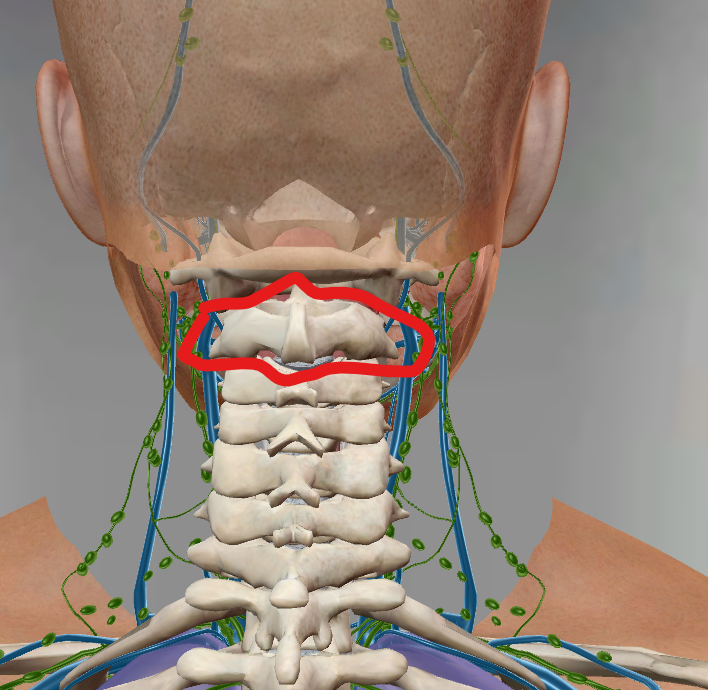 <p>C2</p>