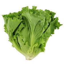 <p>Lettuce green leaf</p>